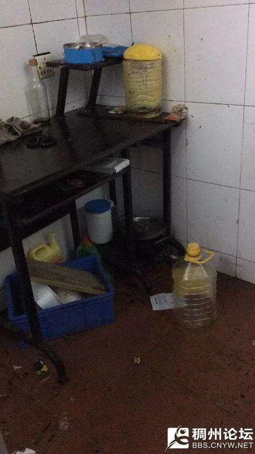 义乌房东最新爆料,最新租房市场动态与价格波动