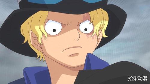 航海王萨博爆料视频,航海王世界背后的惊人真相